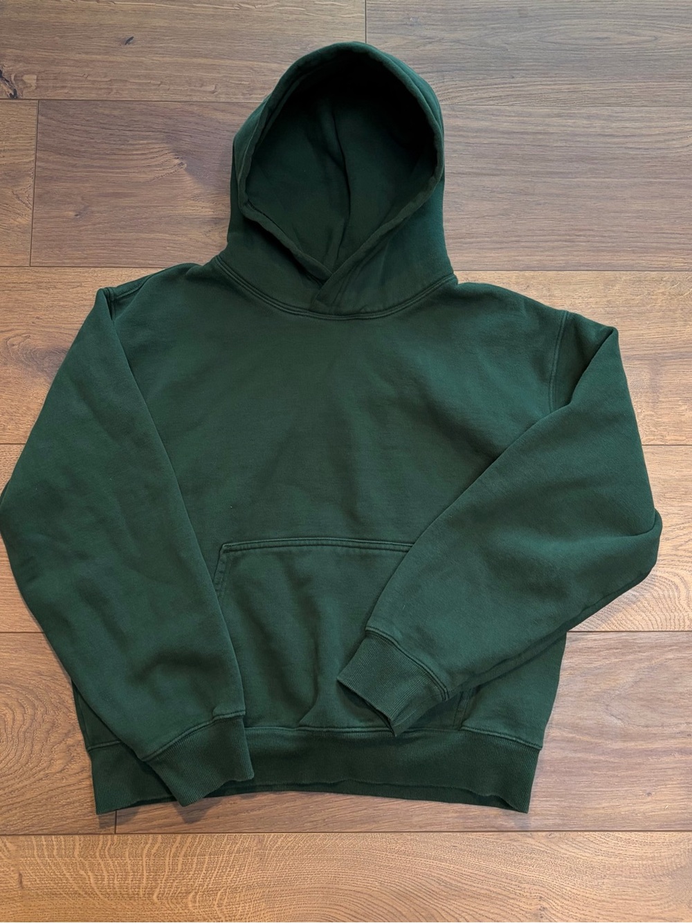 Aritzia Green Hoodie